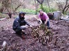 Preparing the site for a new wood shed